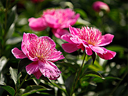 星空体育登录产品展示三