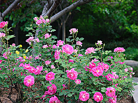 星空体育登录产品展示五