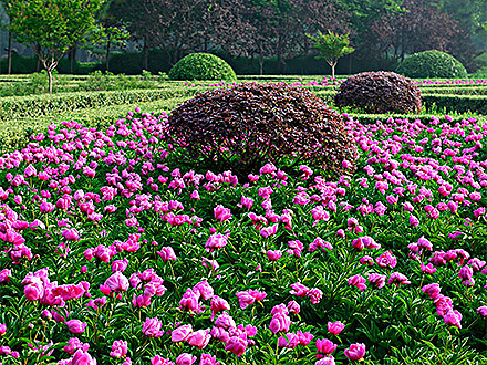 星空体育登录产品展示四