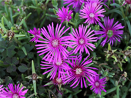 星空体育登录产品展示六